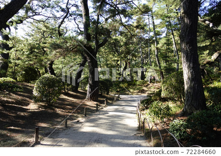 Kuribayashi Park 72284660