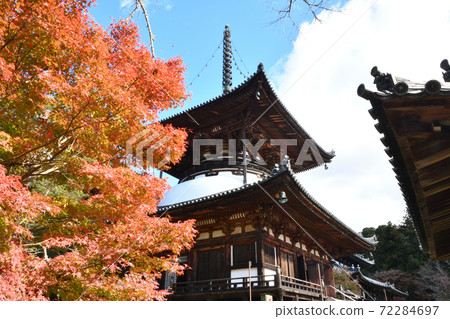 Negoroji Temple Oto and Autumn Leaves Negoroji Temple Oto and Autumn Leaves 72284697