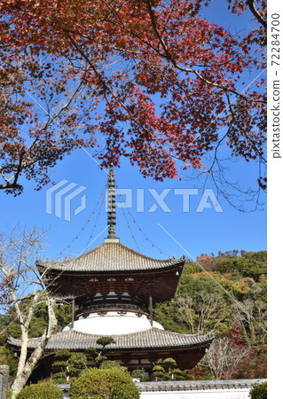 Negoroji Temple Oto and Autumn Leaves Negoroji Temple Oto and Autumn Leaves 72284700