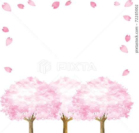 櫻花櫻花春天水彩框架背景複製空間插圖材料 72285002