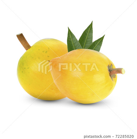 Pouteria Campechiana fruit isolated on white. 72285020