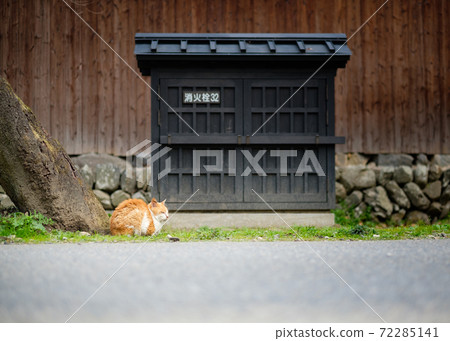 一隻貓看著在城堡小鎮散步的人們 72285141