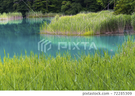 本特努瑪·歌沼沼 本特努瑪·歌沼沼 72285309