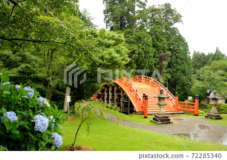 Taikobashi (Rinbashi) and Hydrangea at Niutsuhime Shrine Taikobashi (Rinbashi) and Hydrangea at Niutsuhime Shrine 72285340