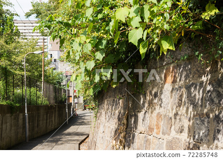 藍染山 藍染山 72285748