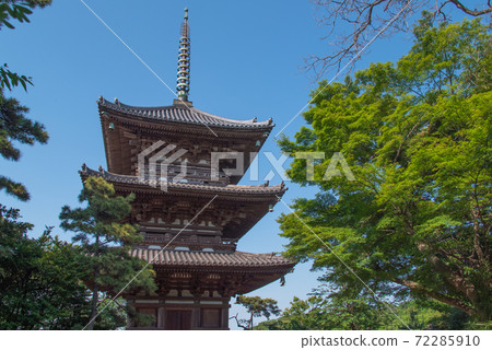 Former Tomyoji Triple Pagoda surrounded by fresh greenery (Sankeien Garden, Yokohama, Kanagawa Prefecture) Former Tomyoji Triple Pagoda surrounded by fresh greenery (Sankeien Garden, Yokohama, Kanagawa Prefecture) 72285910