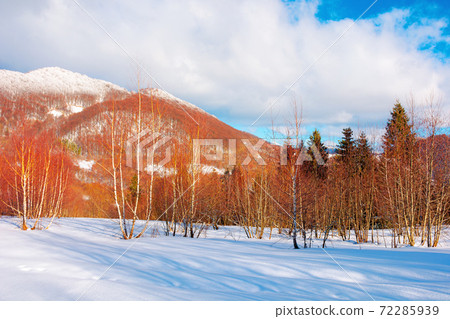 winter landscape in afternoon light. beautiful nature scenery in mountains. leafless trees on a snow covered slope. wonderful sunny weather with clouds on the sky winter landscape in afternoon light. beautiful nature scenery in mountains. leafless trees on a snow covered slope. wonderful sunny weather with clouds on the sky 72285939