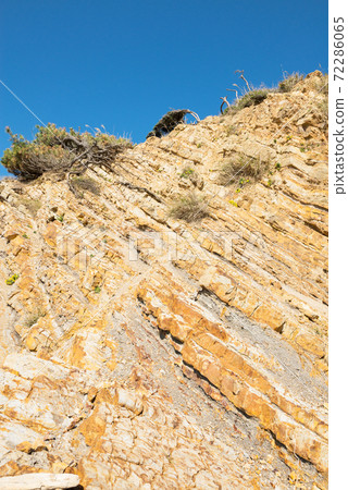 友島島 友島島 72286065