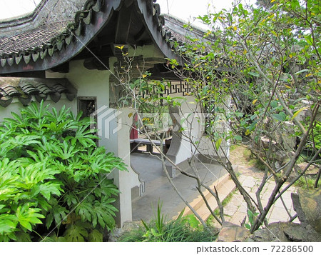 Take a walk along the shore of Lake Taihu Take a walk along the shore of Lake Taihu 72286500