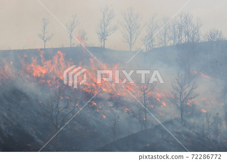 Open burning of Kuju Kogen Open burning of Kuju Kogen 72286772