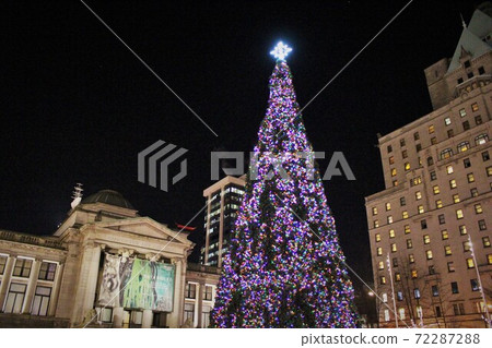 加拿大溫哥華博物館前的巨型聖誕樹 加拿大溫哥華博物館前的巨型聖誕樹 72287288