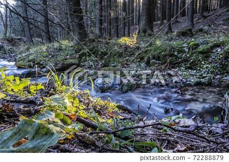 Water stream, Little Fatra, Slovakia 72288879