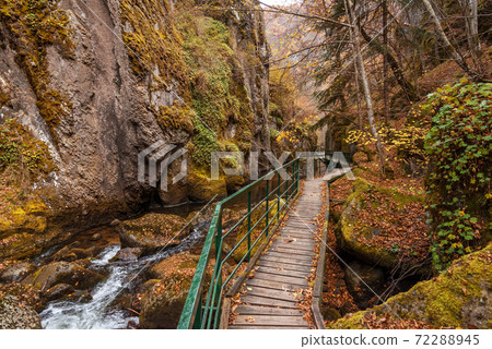 Bridge for hikers in the gorge of the Devinska River in Bulgaria. Bridge for hikers in the gorge of the Devinska River in Bulgaria. 72288945