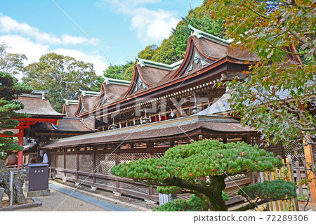 The main shrine of the national treasure of Sumiyoshi Shrine in Shimonoseki 72289306