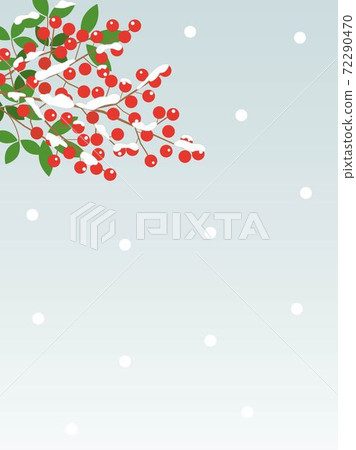 南天15雪 72290470