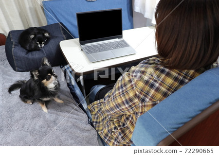 Female image of camper telework worcation Female image of camper telework worcation 72290665