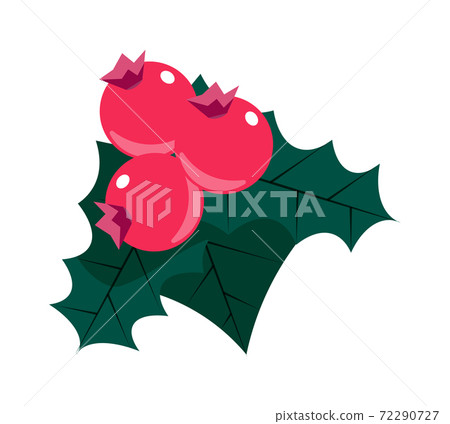 Cartoon holly berry isolated on white background Cartoon holly berry isolated on white background 72290727
