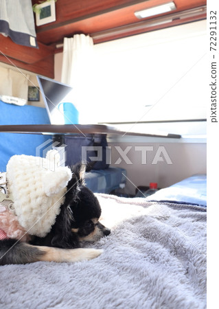 Travel by camper. Worcation image Travel by camper. Worcation image 72291132