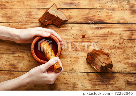 Tinder polypore in herbal medicine 72292840