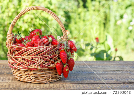 Full basket with just picked fresh red ripe strawberries on wooden desks. Full basket with just picked fresh red ripe strawberries on wooden desks. 72293048