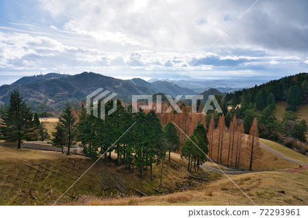 六甲山牧場的視圖 六甲山牧場的視圖 72293961