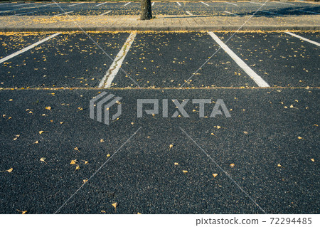 Parking lot where ginkgo leaves fall Parking lot where ginkgo leaves fall 72294485