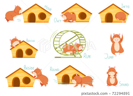 Cute Hamster Demonstrating English Verbs and Prepositions of Place and Movement Vector Set Cute Hamster Demonstrating English Verbs and Prepositions of Place and Movement Vector Set 72294891