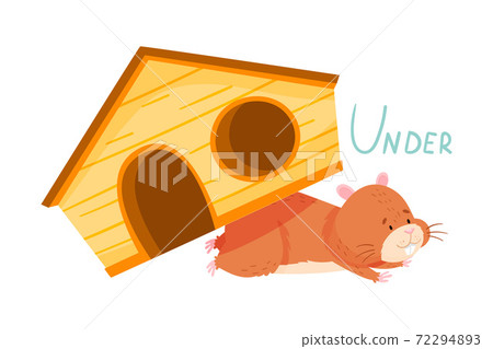 Funny Hamster Lying Under Wooden House Showing Preposition of Place Vector Illustration 72294893