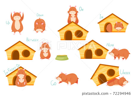 Cute Hamster Demonstrating English Prepositions of Place and Movement Vector Set 72294946