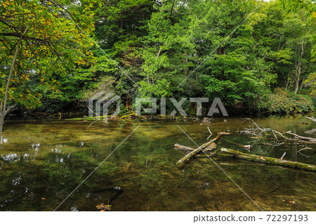 Summer Yunoko Lake Summer Yunoko Lake 72297193