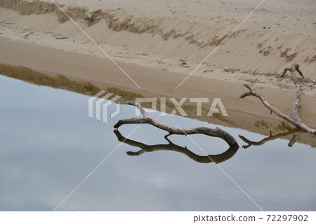 漂流木 漂流木 72297902