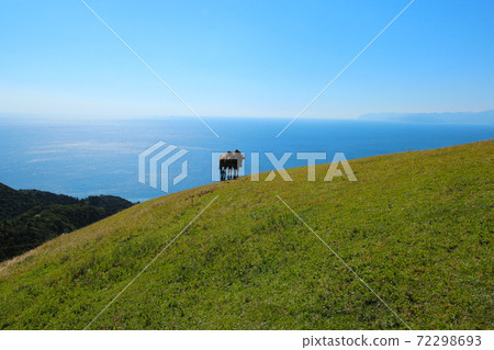 在海岸附近的草地山上遠距離觀看馬匹 72298693