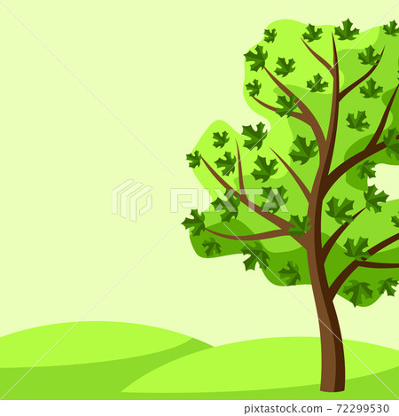 Summer background with tree. 72299530