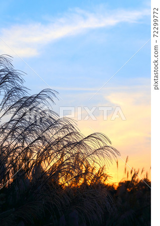 Autumn dusk Autumn evening view Sunset Autumn dusk Autumn evening view Sunset 72299772