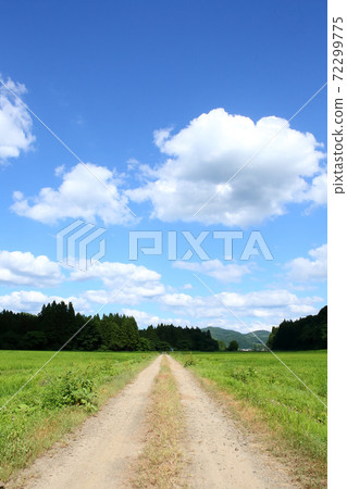 Summer Satoyama Summer Sky Mountain Village Summer 72299775