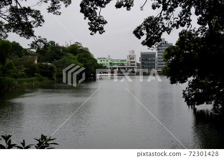 Senzokuike Park in Minamisenzoku, Ota-ku, Tokyo, overlooking the boat stop 72301428