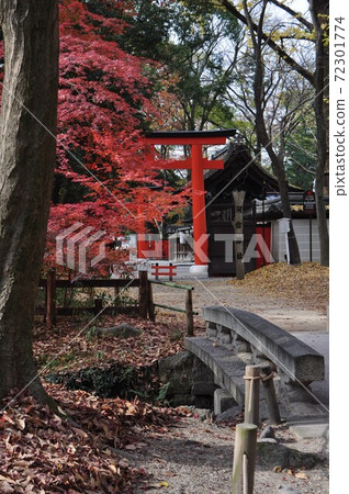 Autumn leaves bridge and Kawai shrine Autumn leaves bridge and Kawai shrine 72301774
