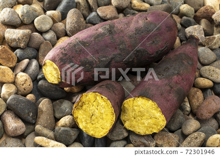放在石頭上的石頭烤土豆 72301946