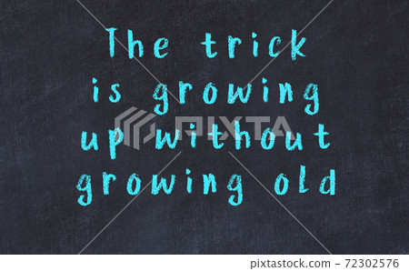 Chalk wise inscription on black chalkboard Chalk wise inscription on black chalkboard 72302576