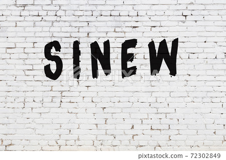 Word sinew painted on white brick wall Word sinew painted on white brick wall 72302849