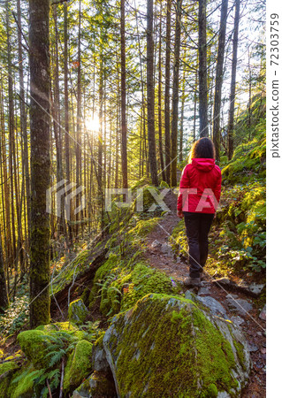 Adventurous Girl Hiking in Canadian Nature Adventurous Girl Hiking in Canadian Nature 72303759
