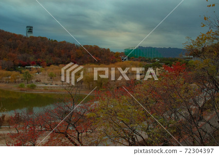 Autumn scenery from the observatory of the dream forest in Buk Seoul 72304397