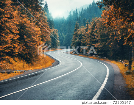 Road in autumn foggy forest in rainy day. Mountain roadway 72305147