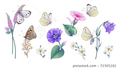 Hand Drawn Wild Flowers and Butterflies Set Hand Drawn Wild Flowers and Butterflies Set 72305282