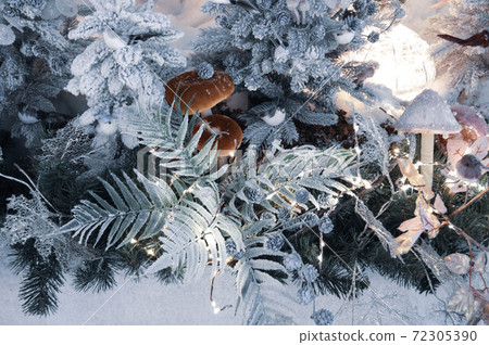 mushrooms grow in the winter forest among the branches of fir trees. round brown mushrooms rose from the ground before the new year. squirrels and birds have accumulated around mushrooms grow in the winter forest among the branches of fir trees. round brown mushrooms rose from the ground before the new year. squirrels and birds have accumulated around 72305390
