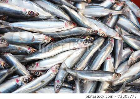 Sea fishes pile on seafood market. 72305773