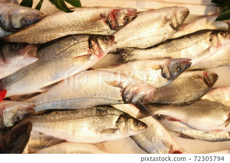 Fresh sea bream fish stacked on ice at fish market. Fresh sea bream fish stacked on ice at fish market. 72305794