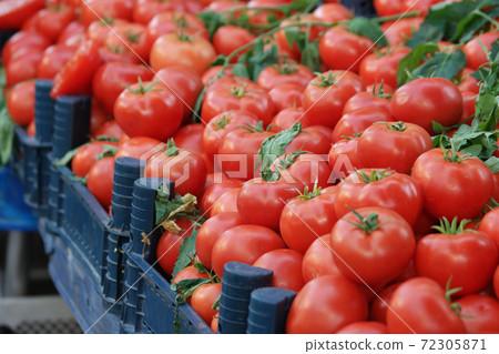 Fresh market tomatoes. 72305871