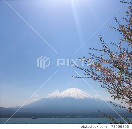 富士和櫻花 富士和櫻花 72306866