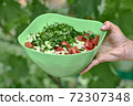 Vegetable salad of tomatoes and cucumbers in a green bowl on a green background 72307348